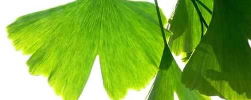 Naturheilpraxis Bottrop